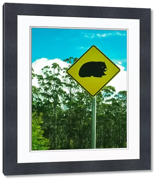 Wombat road sign in Tasmania