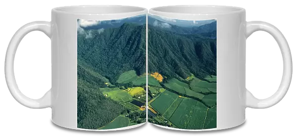 Aerial view of Cane-fields, Cairns district, north Queensland, Australia