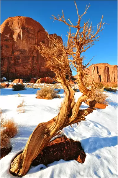 Monument valley in winter, Arizona, Western united States of America