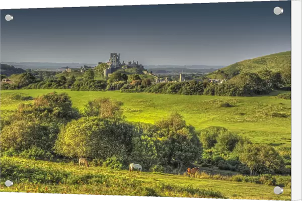 View to Corfe Castle