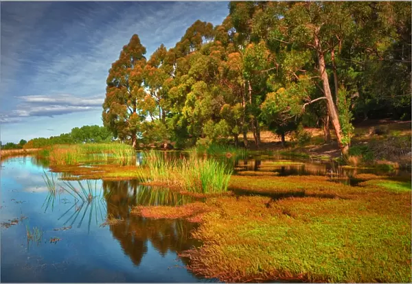 Quiet pond near Kettering in the southern area of the island state, Tasmania, Australia