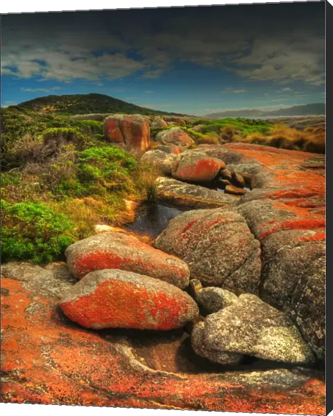 Red, lichen coloured boulders, so typical of Flinders Island, part of the Furneaux group, eastern Bass Strait, Tasmania