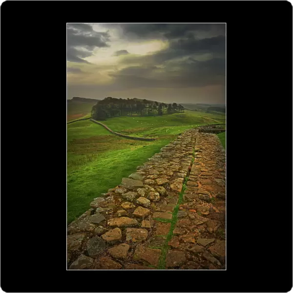 A view of Hadrians wall in the Northumberland district of England