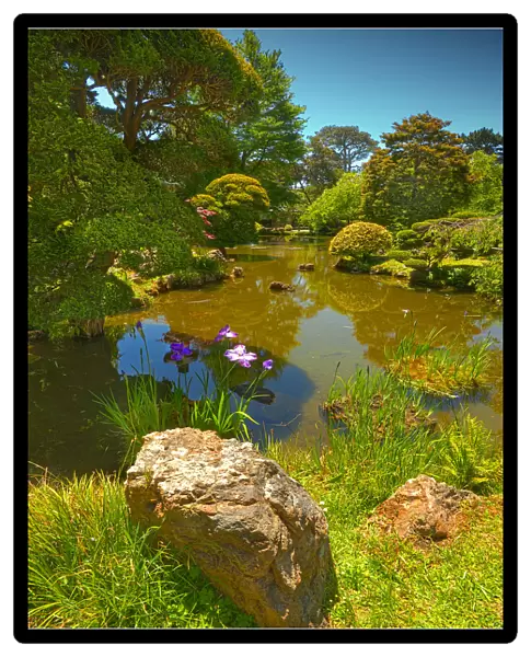 Japanese tea gardens in the Golden State Park, San Francisco, California