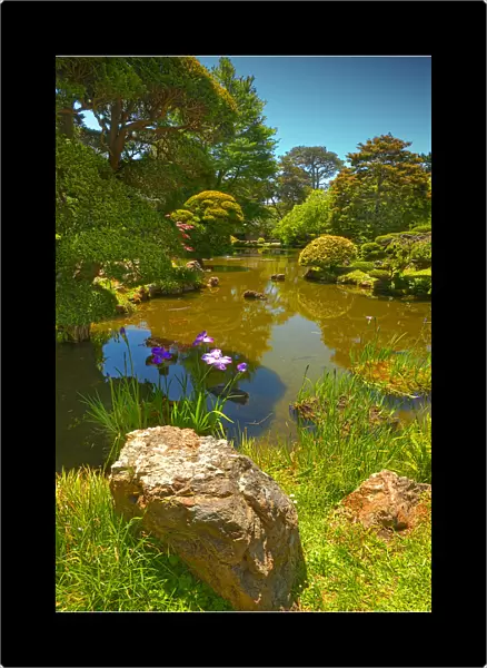 Japanese tea gardens in the Golden State Park, San Francisco, California