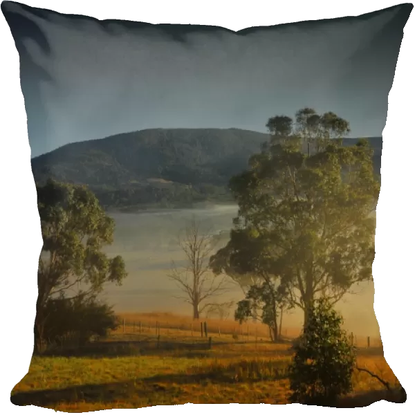 Winters morning with mist rising at dawn in the Huon Valley in southern Tasmania
