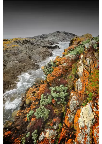 Seal bay, isolated, and extremely rugged and rocky coastline, is magnificent in winter as huge waves pound the coast. King Island, Bass Strait, Tasmania