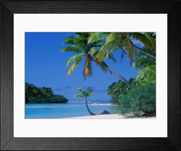 Framed Print : Print of Beach, Trees, and Lagoon in Cook Islands Framed Print : Print of Beach, Trees, and Lagoon in Cook Islands