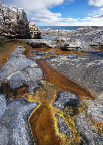 The Baleen Rockpool in Cape Carnot, Eyre Peninsula, South Australia