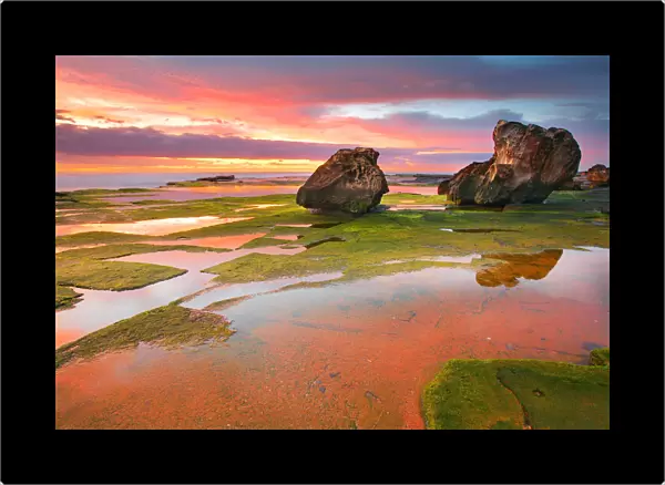 Grean moss on rocks and reflection of red sunrise