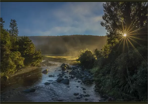 Morning light at Lake Matheson, south island, New Zealand