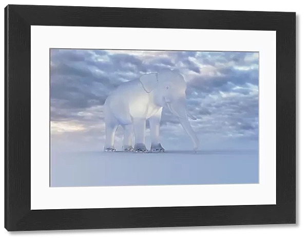 animals, cloud, color image, copy space, elephant, glass, horizontal, low angle view