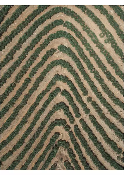 Agricultural patterns as seen from above, France