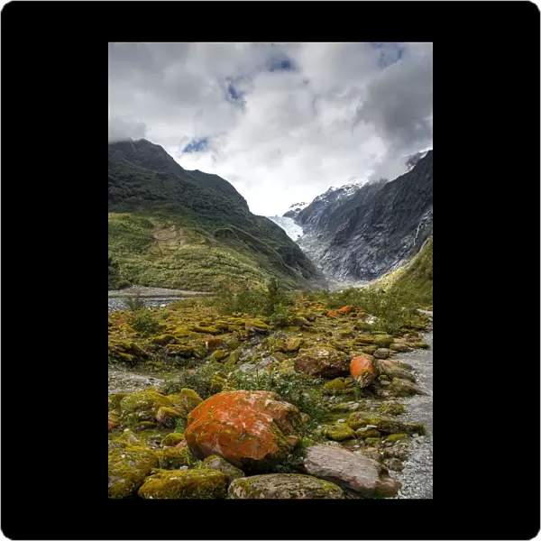 Rocks covered with moss and red lichens, in the back glacier tongue of Franz Josef