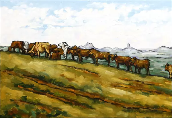 Herd of Bulls on a Hillside with Glass House Mountains in Distance Oil Painting