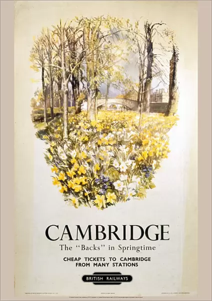Cambridge - The Backs in Springtime, BR (ER) poster, 1950