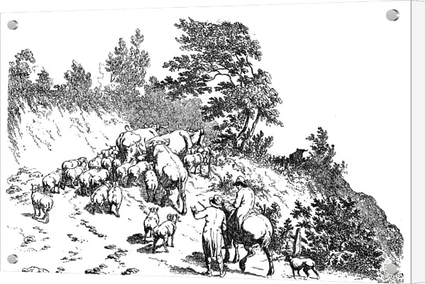 Antique illustration of flock climbing uphill