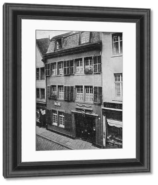 Ludwigs Birthplace
