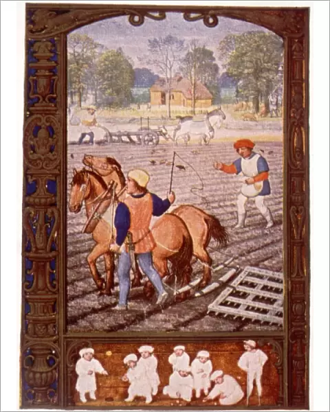Harrowing. Flemish farmers harrowing their fields, circa 1525