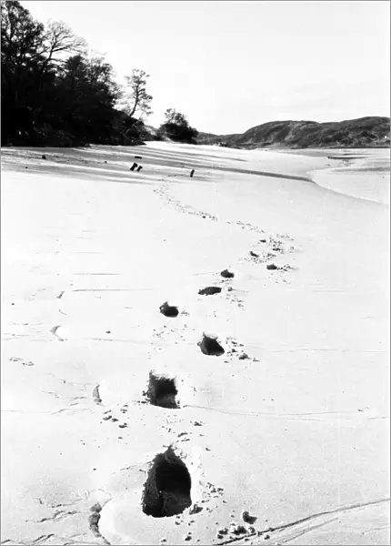 Giant Footprints