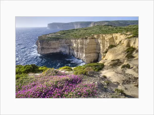 Cliffs with wildflowers