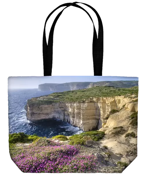 Cliffs with wildflowers