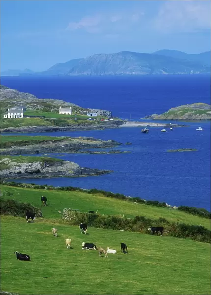 Co Cork, Garinish Island, Beara Peninsula, Ireland