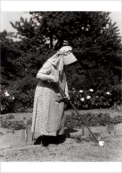 Woman In Bonnet Hoeing In Garden
