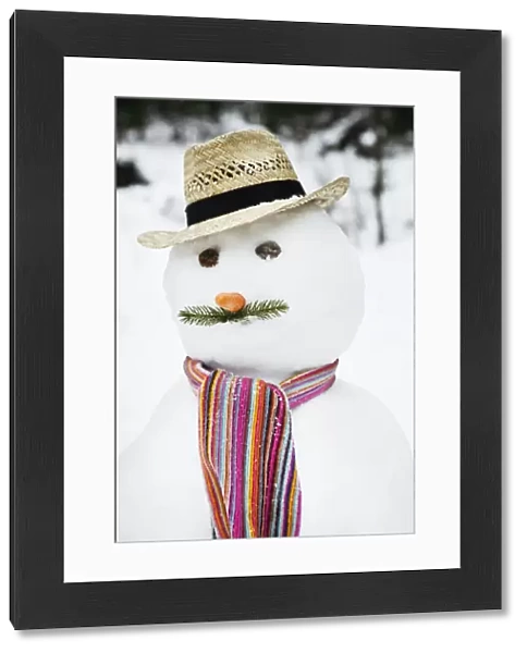 Close up of snowman with mustache