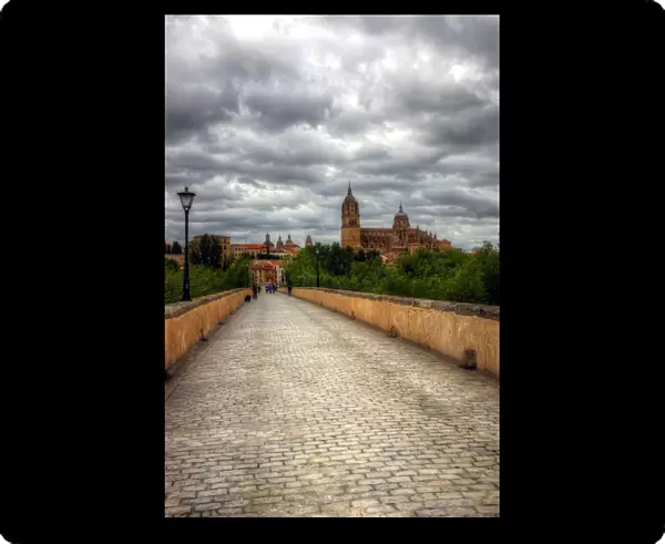 Salamanca old town and Cathedral from Roman Bridge