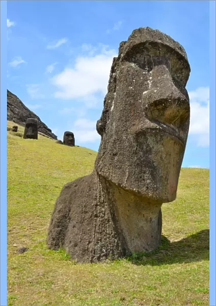 Big half buried moai portrait in Easter Island
