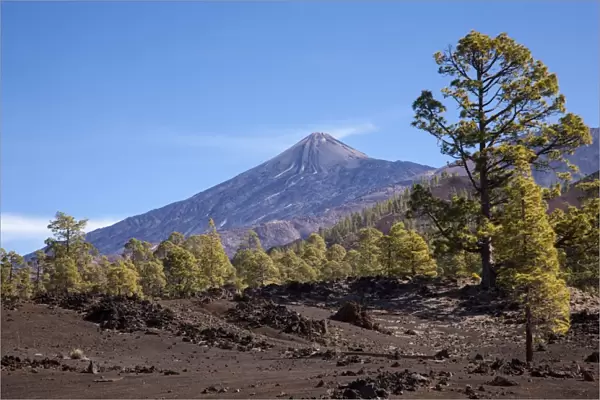 Mount Teide summit as seen from the south