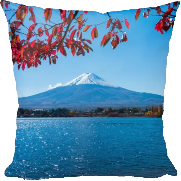 Mt. Fuji with autumn leaves