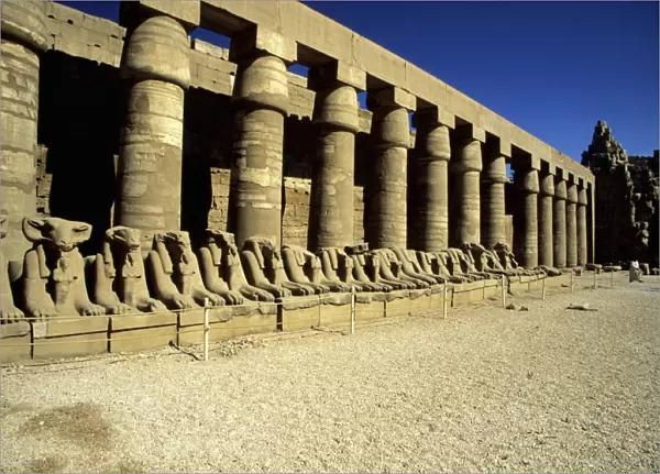Temple Of Karnak, Luxor - Egypt
