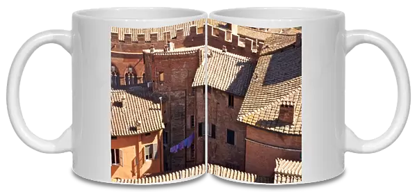 Siena is a city in Tuscany, Italy. It is the capital of the province of