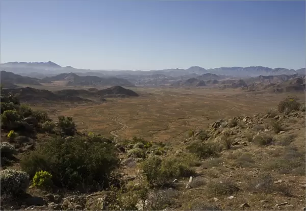 The Richtersveld is located in South Africas northern Namaqualand, this arid area represents a harsh landscape where water is a great scarcity and only the hardiest of lifeforms survive, Northern Cape Province