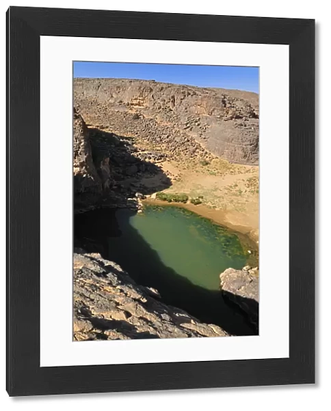 Guelta, waterhole at Dider Valley, Tassili n Ajjer National Park, Unesco World Heritage Site, Wilaya Illizi, Algeria, Sahara, North Africa