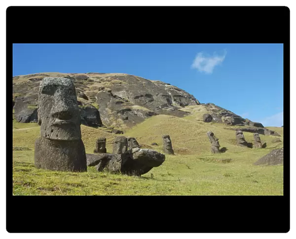 Moai. Rano RarakuRano Raraku is a volcanic crater formed of consolidated volcanic ash