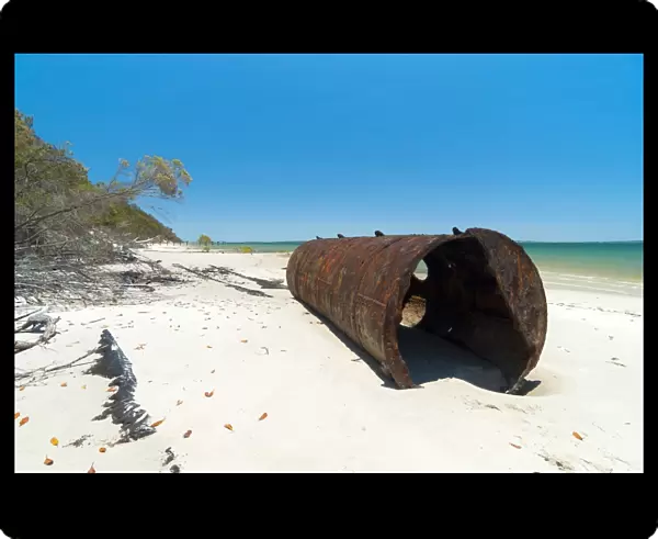 Fraser Island | southern Queensland | Australia