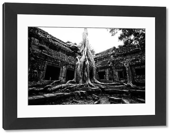The ruin of Ta Prohm palace in black and white