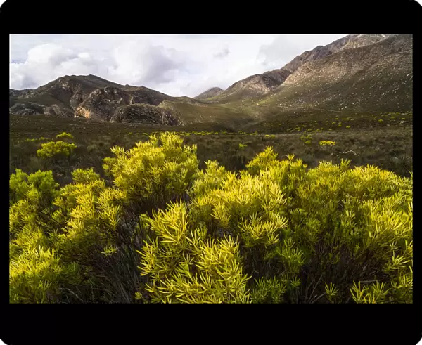 Landscape in Gamkaskloof or Die Hel Valley, Swartberg, Western Cape, South Africa