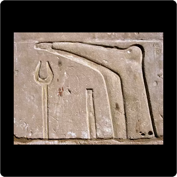 Egyptian hierogyphics, Luxor Temple, Egypt