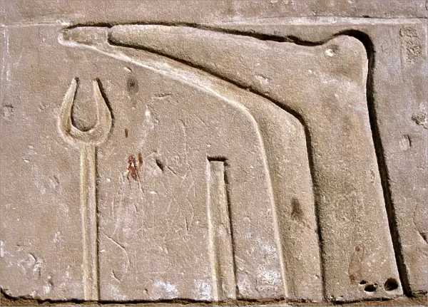 Egyptian hierogyphics, Luxor Temple, Egypt