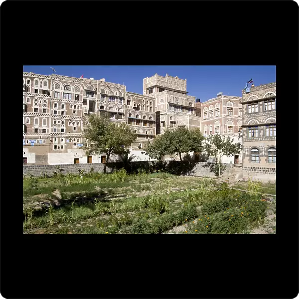Vegetable garden in old town of Sanaa