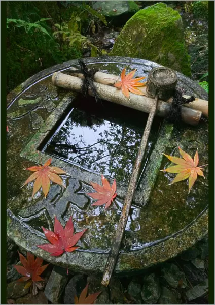 Ablution basin at temple, Kyoto, Honshu, Japan