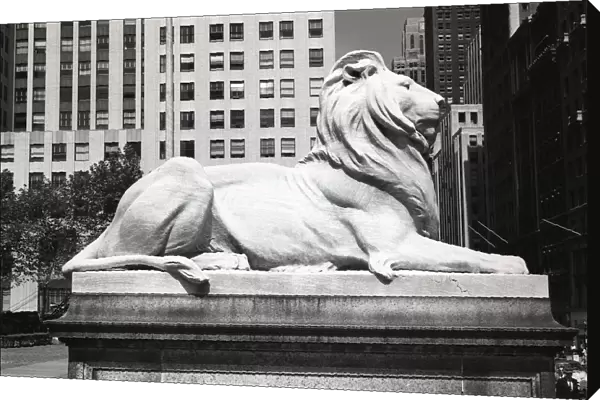 USA, New York City, lion statue outside New York Public Library