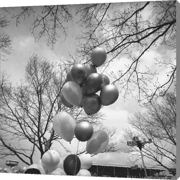 Bunch of balloons outdoors, (B&W), low angle view