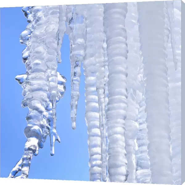 Ice cicles