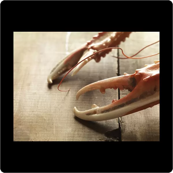 Claws from a langoustine