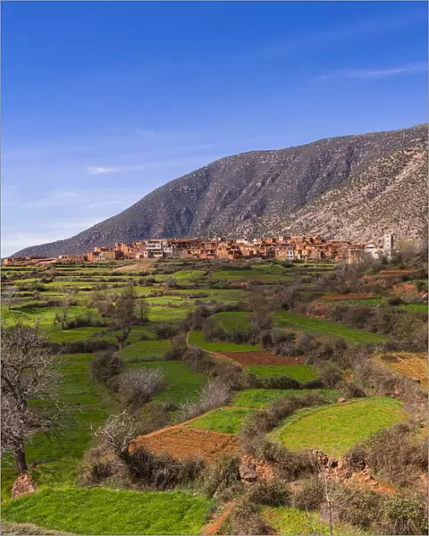 Ourika Valley, mud-brick village of Anammer at the back, Atlas Mountains, Marrakech-Tensift-Al Haouz, Morocco